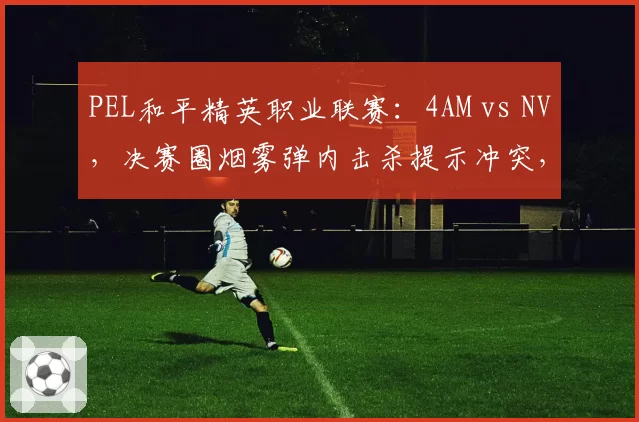 PEL和平精英职业联赛：4AM vs NV，决赛圈烟雾弹内击杀提示冲突，官方判定为设备延迟