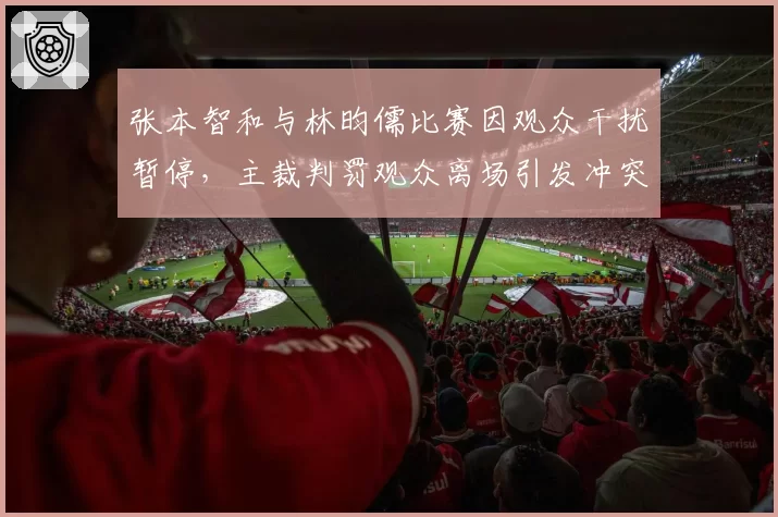 张本智和与林昀儒比赛因观众干扰暂停，主裁判罚观众离场引发冲突