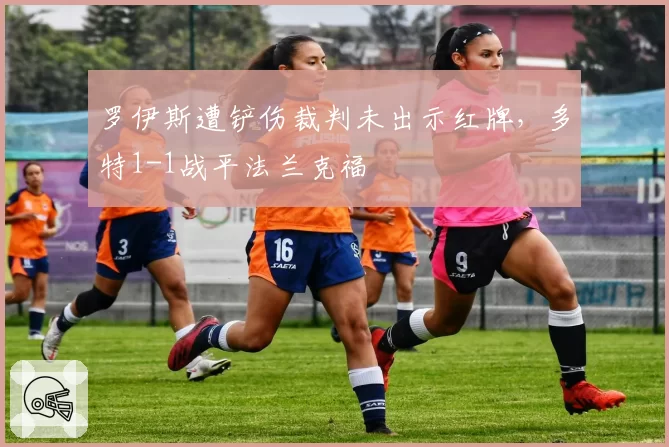 罗伊斯遭铲伤裁判未出示红牌,多特1-1战平法兰克福
