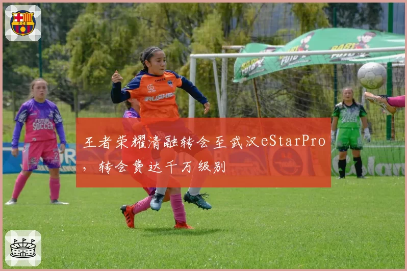 王者荣耀清融转会至武汉eStarPro，转会费达千万级别